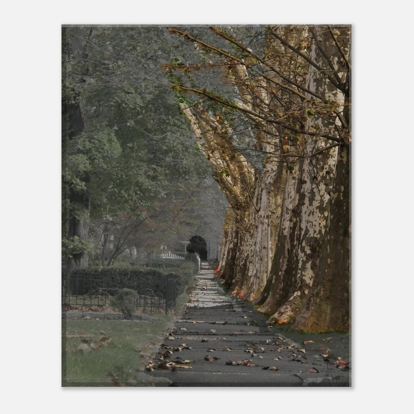 fcbf220f-7bba-40a4-be0c-7eab741bed9a