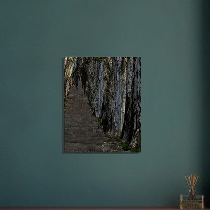 fcf9eff5-12b6-4d01-8f9e-8ec43632b6e3