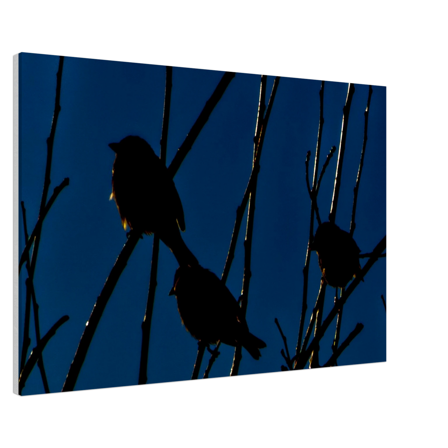 fe4cae80-12d9-437f-b258-e3d360d0aa93