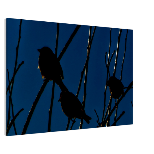 fe4cae80-12d9-437f-b258-e3d360d0aa93